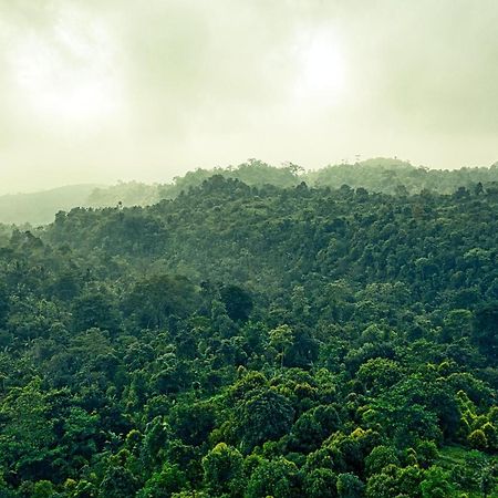 Ruhija Gorilla Guest House Kabale المظهر الخارجي الصورة
