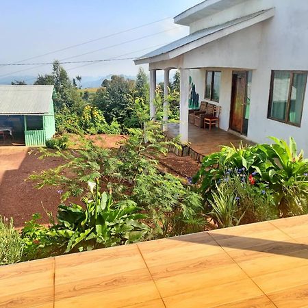 Ruhija Gorilla Guest House Kabale المظهر الخارجي الصورة