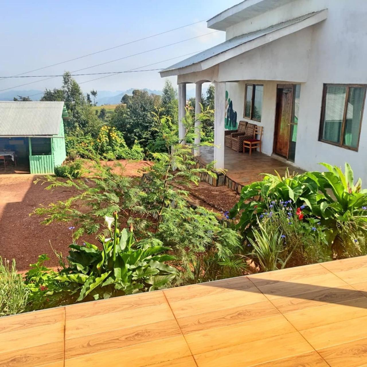 Ruhija Gorilla Guest House Kabale المظهر الخارجي الصورة