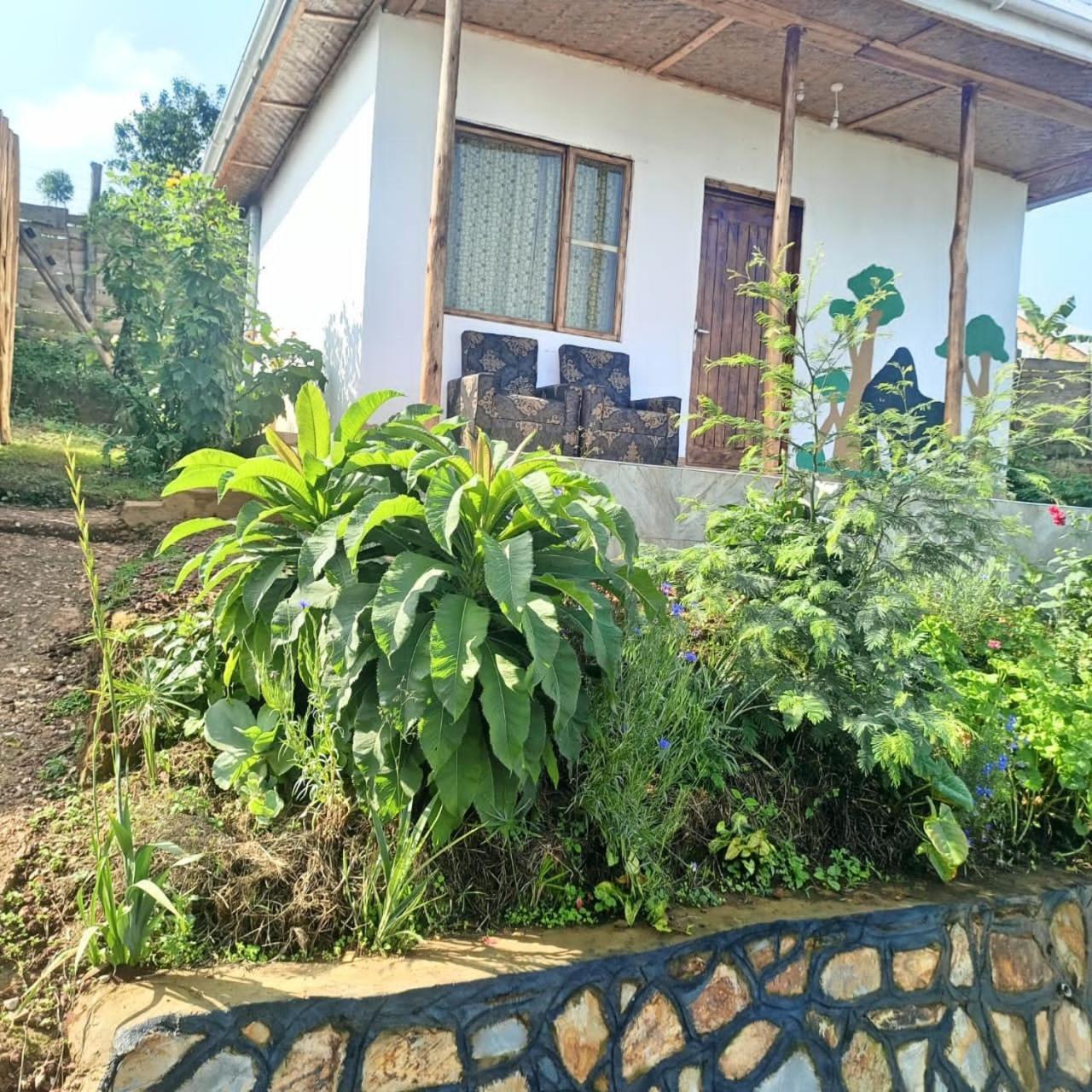 Ruhija Gorilla Guest House Kabale المظهر الخارجي الصورة